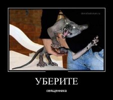 Очередной русофобский говнопост не прошёл в горячее это радует