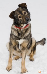 Тоже удивлен