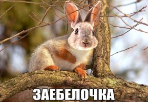 Продайте, пожалуйста одну расширенную лицензию на отсрел!