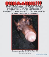 А то собакен по охоте скучает!