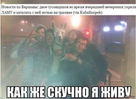 И тут я понял, как скучно я живу