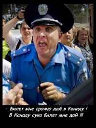  Перестаньте лгать: канадцы не живут на Севере!