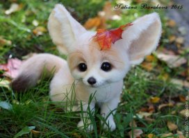 Просто картинки