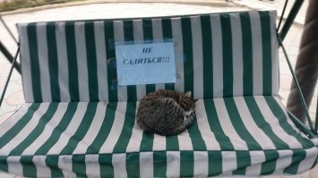 Эта картинке не в тему. Кон ничего не нарушил. Он не садился. Лежать не запрещено.