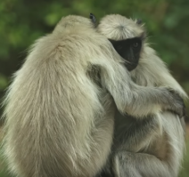 блин, прям как люди