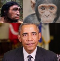 Самые известные гибриды животных в мире 