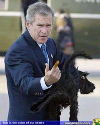 Любимые питомцы известных политиков