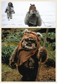 Просто картинки