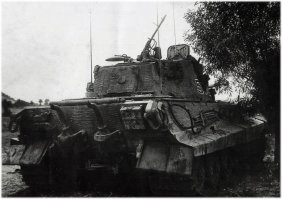 Ага, точно. Больше фоток есть в блоге.