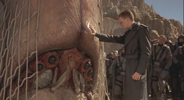 теперь пост о следующем типе жуков