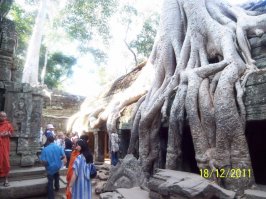 Из личного архива: Храмы Ангкора: Байон, Ангкор-Ват, Бантей, Та-Прохм.
На четырех работах не вЪ@ем, раз в год позволяем.

Расцвет Кхмеркой империи, в которую входили современные Камбоджа, Вьетнам, Лаос и Таиланд пришелся на 9-11 века н.э. В конце 12 века империя пала в следствии бесконечных междоусобных войн между местными княжествами и под нажимом Бирманцев, которые буквально сметали все на своем пути, разрушая все святыни, чтобы народ забыл о своих богах… 
В начале 18 века французский путешественник Анри Муо, благодаря рассказам местных жителей, случайно обнаружил Ангкор – величие Кхмерской империи, затерянный в бесконечных тропических джунглях… Анри Муо был не только путешественником, но и натуралистом, который все свои находки красочно описал и зарисовал в своих дневниках. Он умер от малярии… Его дневники были переданы его жене во Францию, которая передала их во Французское географическое общество. Так, благодаря французам, Ангкор был открыт вновь! Далее - Камбоджа начинает развиваться, став колонией Франции… 
Но колониализм закончился, и камбоджийцы остались не у дел, страной управлял слабый король… И в 1975 году к власти пришел Пол Пот, который за время своего правления, руководствуясь «идеями коммунизма» вырезал 1/3 своей страны! Все население он согнал в коммуны, заставив сажать рис с 8 утра до 8 вечера, а потом на сон грядущий, проводя политические учения… 
За годы его правления были взорваны все банки, прекращено общение со всеми странами, полностью уничтожена вся интеллигенция, сожжены все книги, страна опять скатилась к феодализму… Я не буду долго писать о Пол Поте… Про этого диктатора можно найти до фига в интернете, почитайте и подивитесь фантазии идейного идиота - фаната дедушки Маркса!(((
Режим Пол Пота рухнул после смерти диктатора (от инфаркта в 1998 году) и вмешательства Вьетнама, который ввел свои войска и разгромил красных кхмеров… 
Сейчас Камбоджа сильно развивается, во главе страны стоит почитаем всеми монах-буддист, по всей стране установлен режим беспошлинной торговли, бесплатная медицина, дети учатся 5 дней в неделю с 8 до 5, изучают 4 языка (французский, английский, кхмерский и еще какой то... то ли китайский, то ли вьетнамский), есть международные классы. Проезжали мимо государственного университета (в котором есть факультеты Оксфорда)… Все направление на восстановление и развитие! Кроме того, на шельфе Сиамского залива обнаружены запасы нефти и газа и сейчас ведется активная разработка…