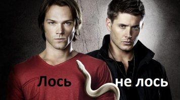 Один из любимых,  сериалов.