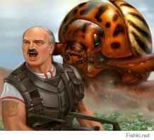 Вспомнилось