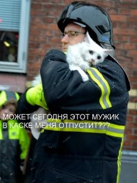 Больше, чем фото