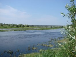 сейчас тут такой мост (см фото) 
в 1941 был такой же мост, только деревянный...
по боевым уставам, танкистам нужно было взорвать свои танки, и с личным оружием идти или под начало партизан, или к своим выходить,
но ни предпочли на танках поехать и умереть!
где и как они свои головы геройски сложили... никто не знает... фашисты не сообщали, но вот благодаря таким людям, фашисты только к зиме к Москве добрались... о-п-и-з-д-ю-л-и-л-и-с-ь и покатились обратно на фатерлянд с позором!