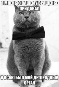 Бардачок из пластикового контейнера своими руками