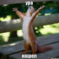 Кошмар наяву: тарантул, пожирающий змею