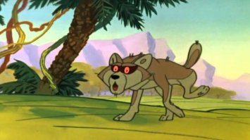 Фотограф заснял как шакал охотился на голубей