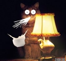 Психоделическая фантазия дизайнеров