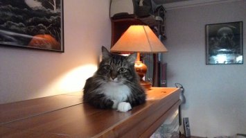 да... Похоже на все истории...
Давай еще истории. Слушаю внимательно.