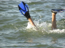 раньше отдых на море для меня сводился к пьянству и загаранию, но когда я купил маску с трубкой это просто поменяло мой взгляд на отдых. теперь это бухание загорание и ныряние. ничего серьёзного не находил так приятные мелочи, и выяснил что дыхалка слабовата
это я перезагорал