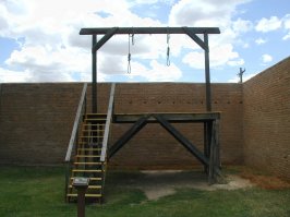 Предложение по улучшению новогодних шоу: