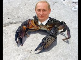 Путин - краб!)))