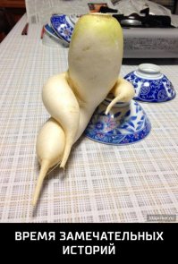 Не делай поспешных выводов