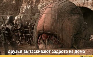 Чудеса природы. Жук бомбардир