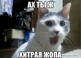 Не делай поспешных выводов