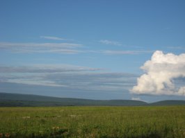 Самое знаменитое фото