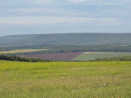 Самое знаменитое фото