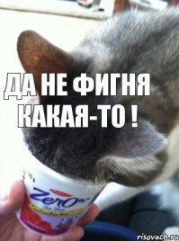 а может на самом деле мы все в матрице, и я на самом деле сейчас не ем эту еду...