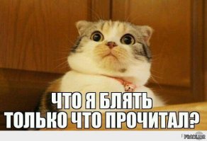 Будьте бдительны. Уж очень они стали любить подъезды