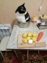 .....
-вы просто не умеете их готовить