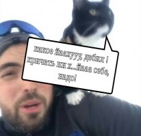 Прокатиться с горки вместе с котиком — парень снял классное видео