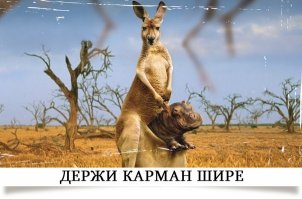 Карманные вселенные