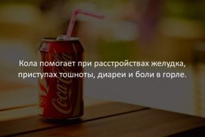 Бред сивой кобылы