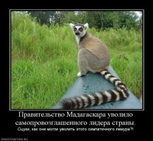 Самые необычные увольнения в мире 