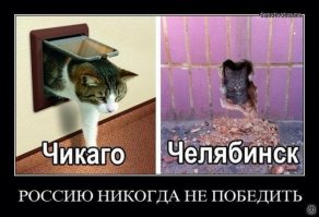 Кот в цилиндре -СУПЕР! Первая мысль  - кошачий   Шерлок Холмс