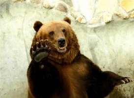  Американец испугался посылки с "русскими" надписями 