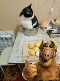 -вы просто не умеете их готовить (ц)