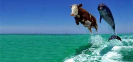 Гуру фотошопа, к которым лучше не обращаться за помощью