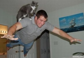 Так проходили тренировки.