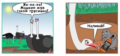 Интересные факты обо всем на свете