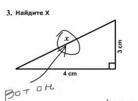 Маразмы современных школьных учебников