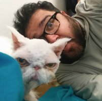 """Кот по-прежнему любит людей, несмотря на то, что они не всегда заботились о нем."""

Что-то не верится мне в любовь кота к людям.
Взгляд уж очень недобрый.