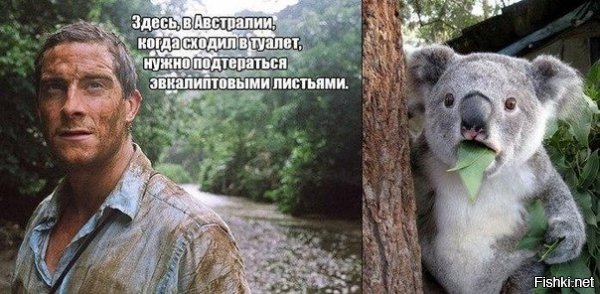 немного не в тему, напомнило