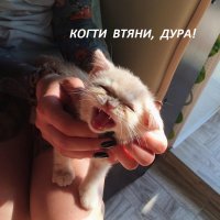 Просто картинки из сети