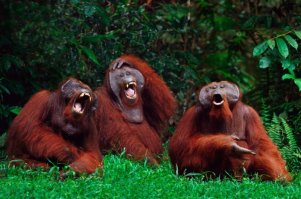  Мама не может сдержать смех, наблюдая как ее дочь пытается сесть в машину в гололёд